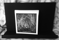 The Dark Hedges Greeting Card