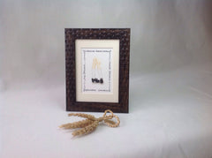 Irish Dancing Poodle Socks and Hard Shoes Print