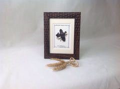 Irish Dancing Jig Shoes Print