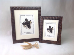 Irish Dancing Jig Shoes Print